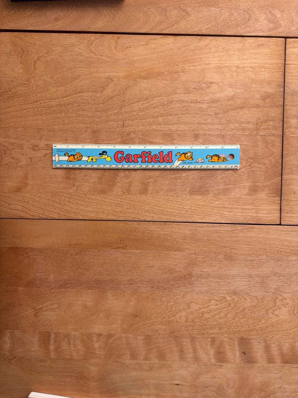 Vintage 1978 Garfield and Odie 12-Inch Plastic Ruler #4418